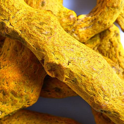 Turmeric