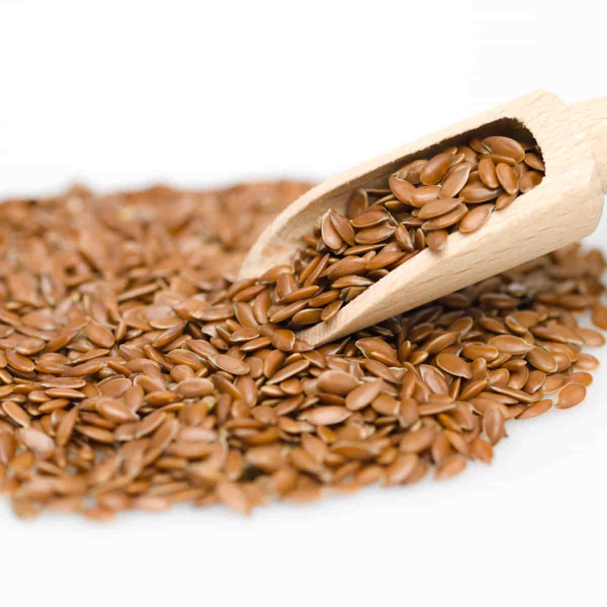 Flax seed 